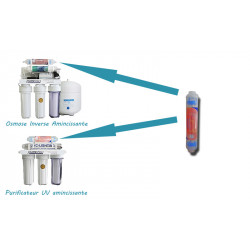 Hummingbird printed sweater